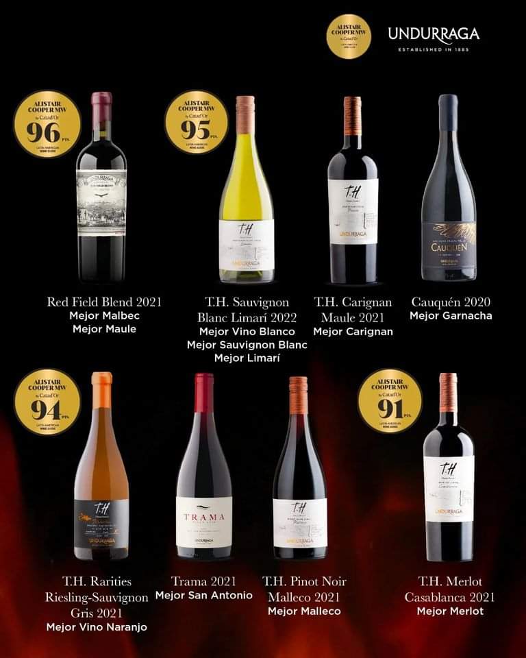 Viña Undurraga T.H. Pinot Noir