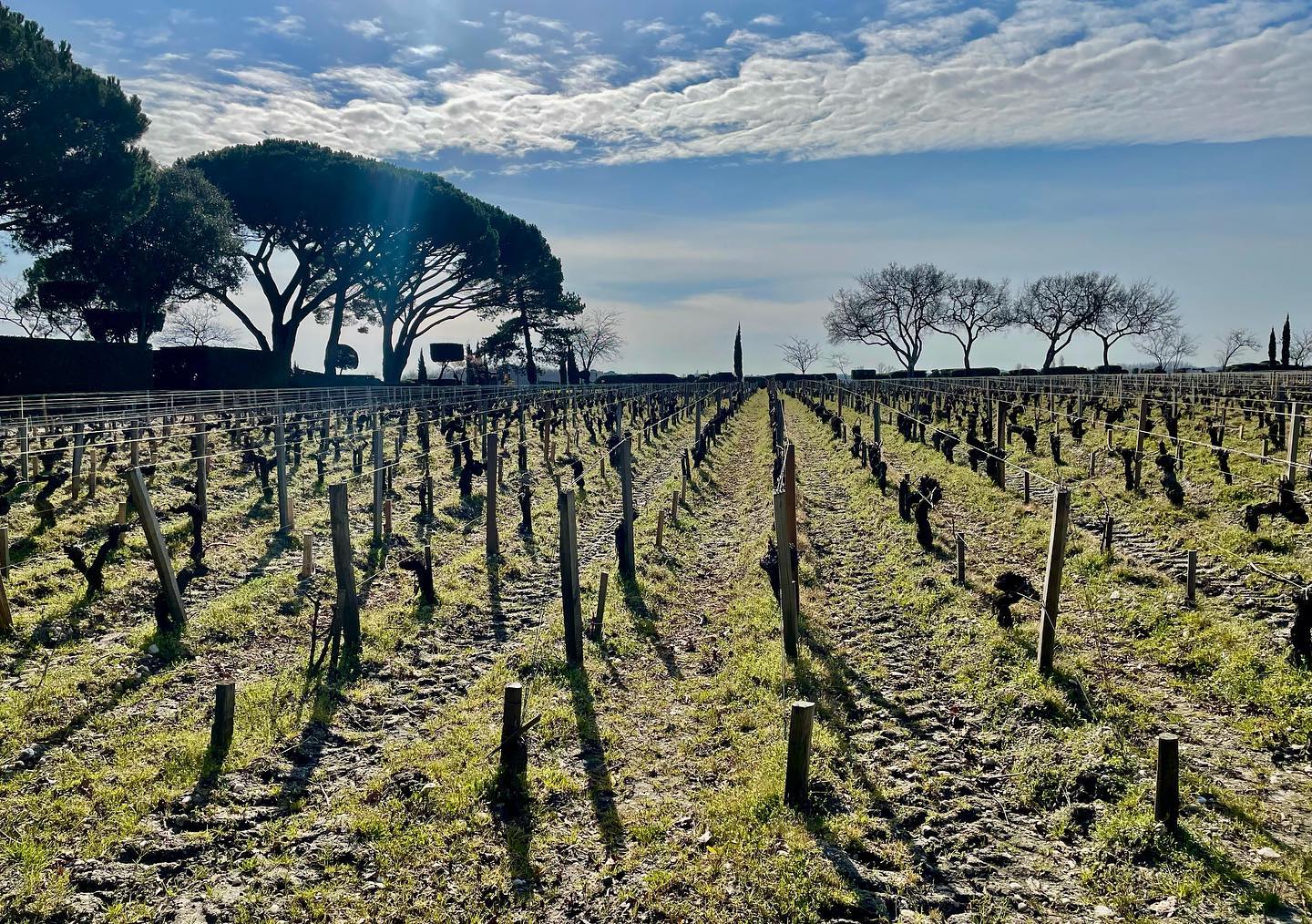 Moulis A.O.C. Chateau Chasse-Spleen Cru Bourgeois