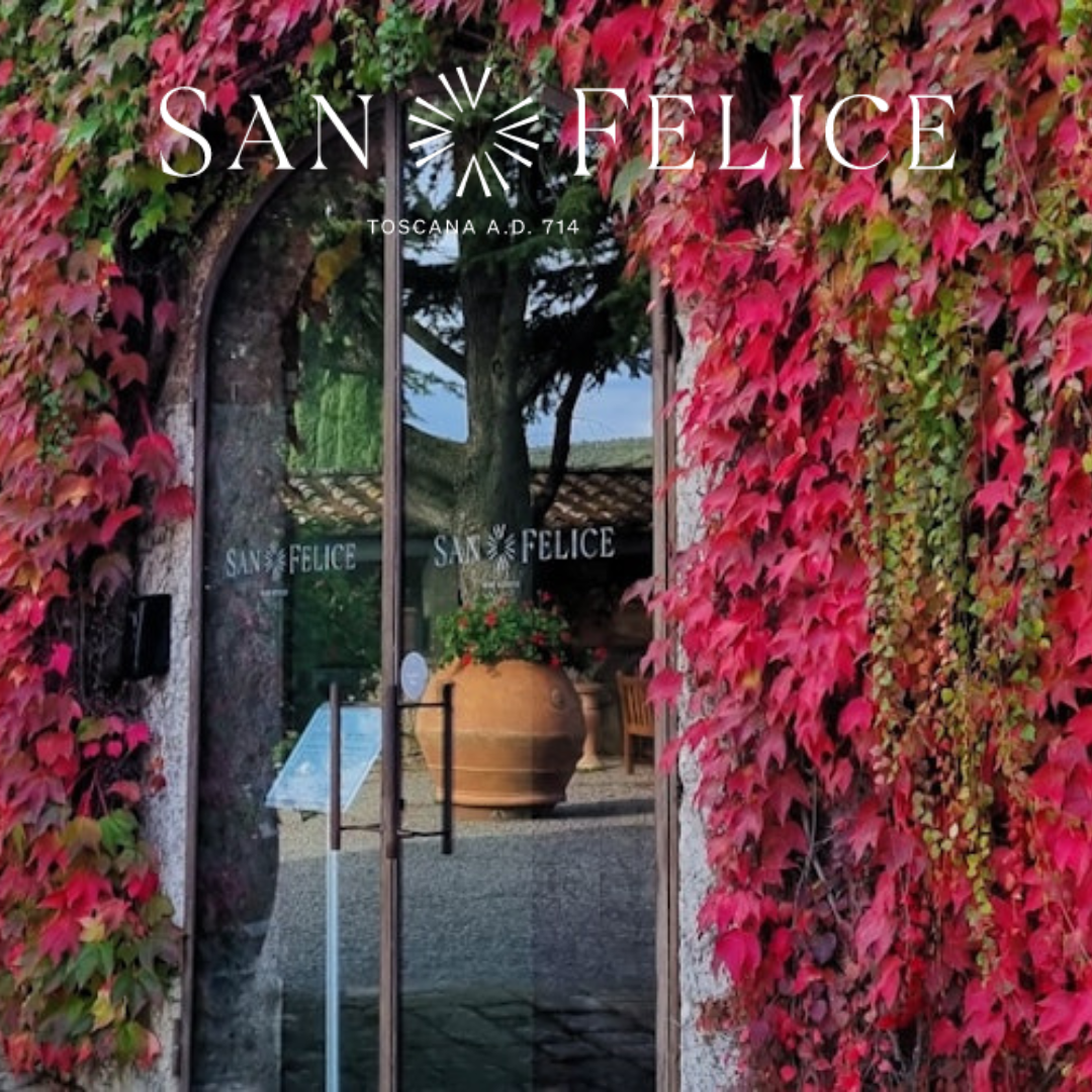 San Felice Rosso di Montalcino DOC Campogiovanni