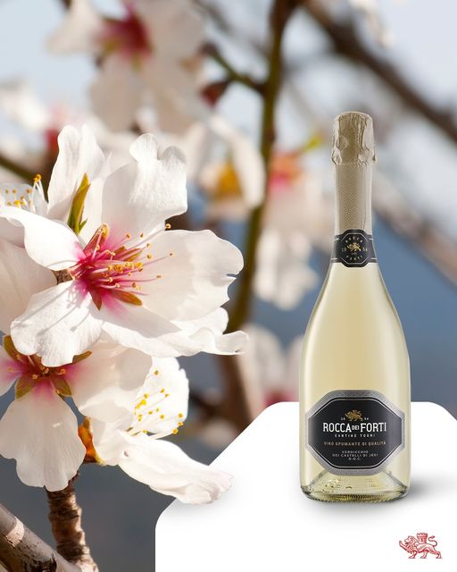 Rocca Dei Forti Spumante Verdicchio D.O.C. Brut