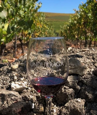 Viña Undurraga T.H. Pinot Noir