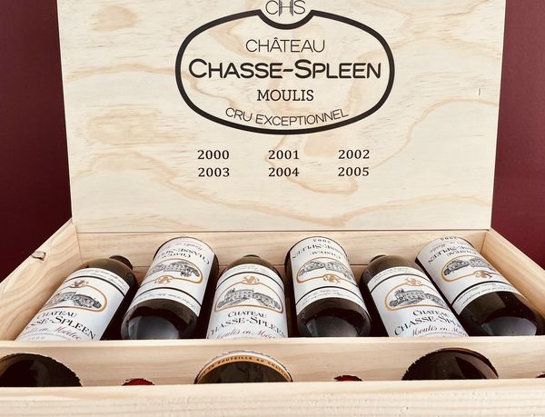 Moulis A.O.C. Chateau Chasse-Spleen Cru Bourgeois
