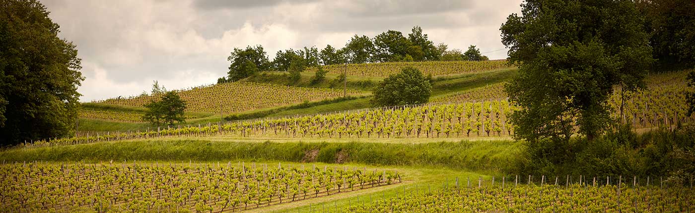 Margaux A.O.C. Château Marquis de Terme Cru Classé v roku 1855