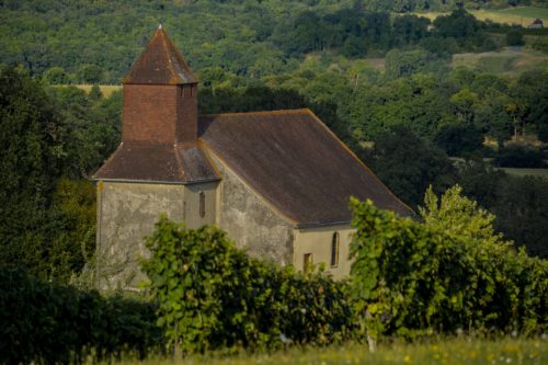 Pacherenc du Vic-Bilh A.O.C. Grains De Roy