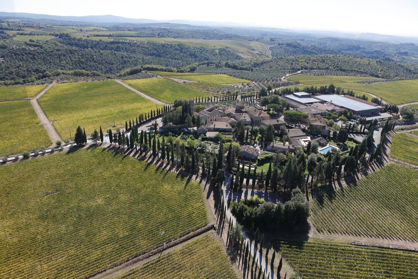 San Felice Chianti Classico D.O.C.G. Gallo Nero