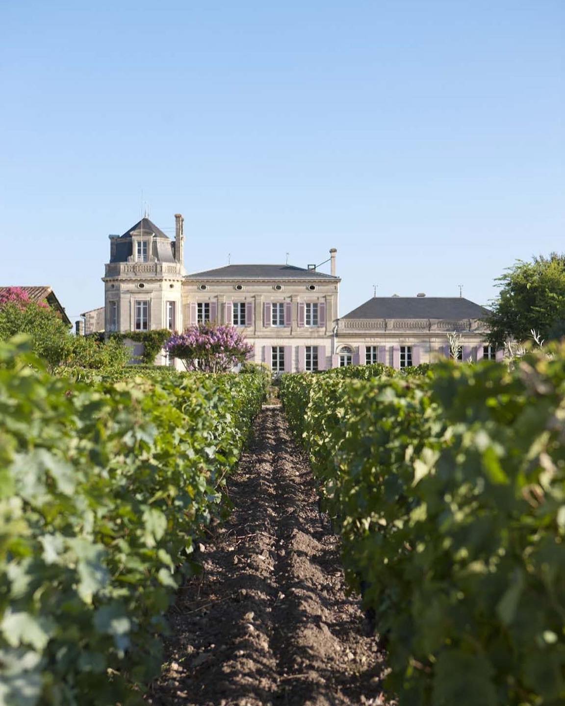 Moulis A.O.C. Chateau Chasse-Spleen Cru Bourgeois