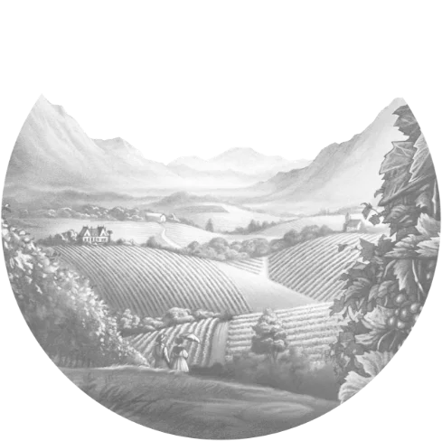 Pacherenc du Vic-Bilh A.O.C. Grains De Roy